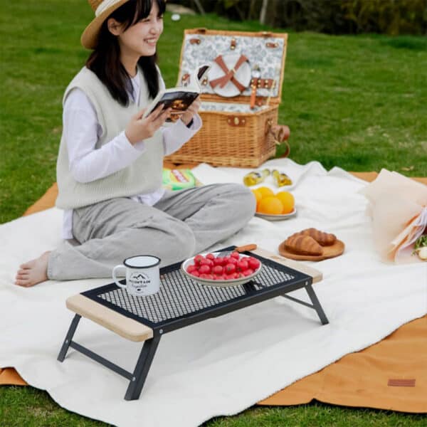 tanxianzhe Iron Mesh Camping Folding Table TXZ-6020 detail-4